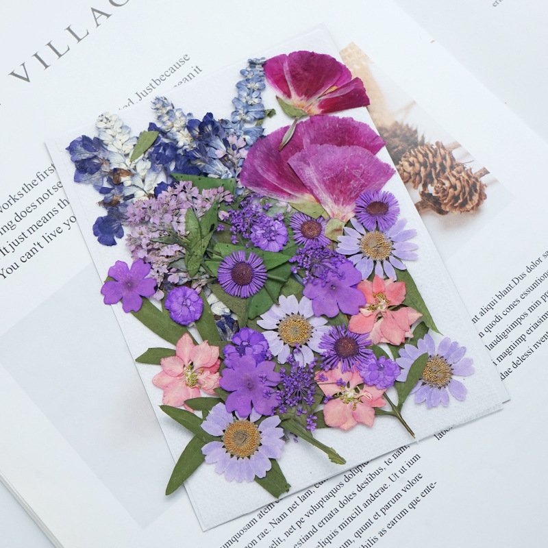 High Quality Natural Real Flower Mixed DIY Decorative Dried Pressed Flowers For Resin Craft Necklace Decor