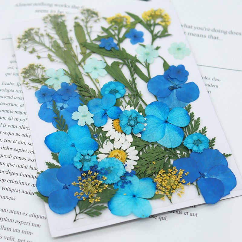 High Quality Natural Real Flower Mixed DIY Decorative Dried Pressed Flowers For Resin Craft Necklace Decor