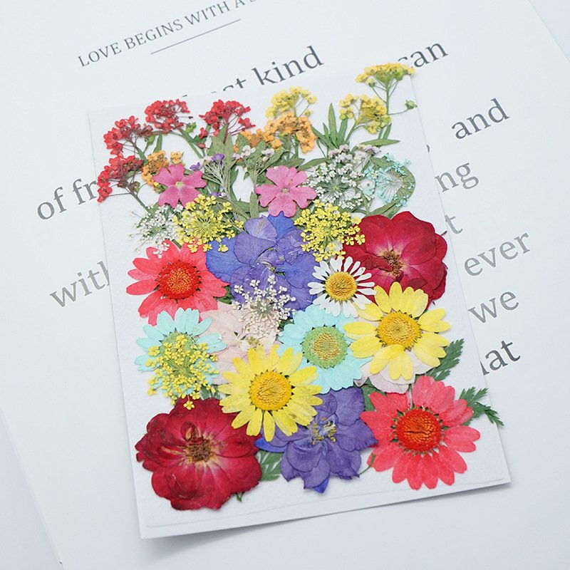High Quality Natural Real Flower Mixed DIY Decorative Dried Pressed Flowers For Resin Craft Necklace Decor