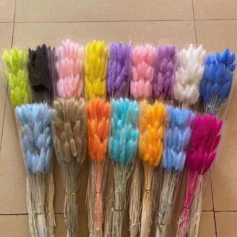 Dried Lagurus Bunny Floral Decoration Wedding DIY Materials Natural Dried Flowers Rabbit Tails Lagurus Ovatus Grass Bunny Tails