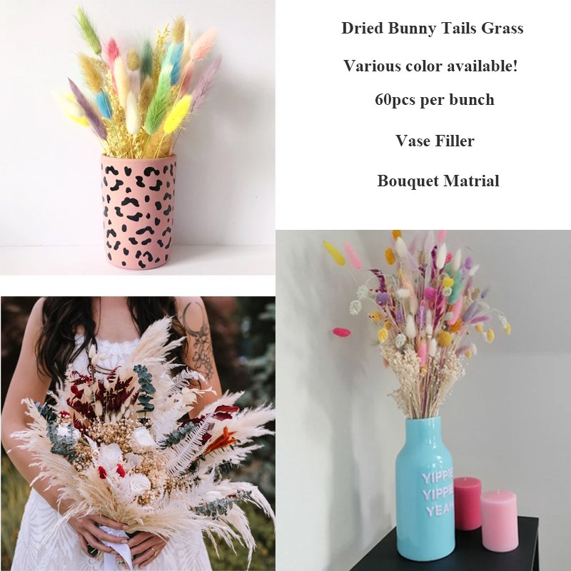 Dried Lagurus Bunny Floral Decoration Wedding DIY Materials Natural Dried Flowers Rabbit Tails Lagurus Ovatus Grass Bunny Tails
