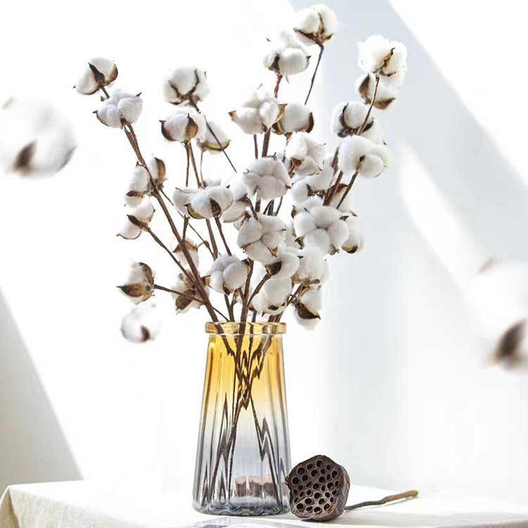 SumFlora Most Popular Natural Dried Flower Cotton Flower Head for Shooting Props Wholesale