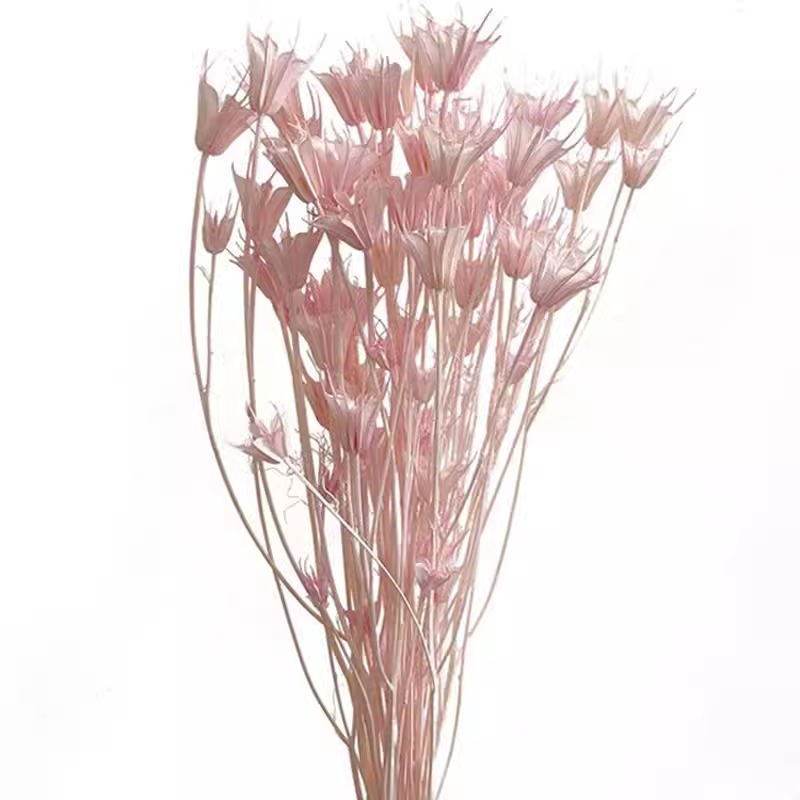 Dried natural nigella flower bouquet,star anise, octagonal flowers for home decoration floral materials.
