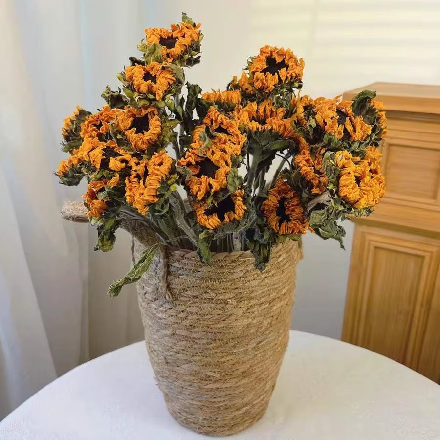 5pcs/bundle Natural Real Black Heart Sunflower Dried Flowers For home Decoration
