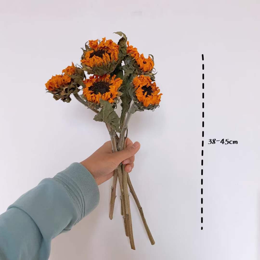 5pcs/bundle Natural Real Black Heart Sunflower Dried Flowers For home Decoration