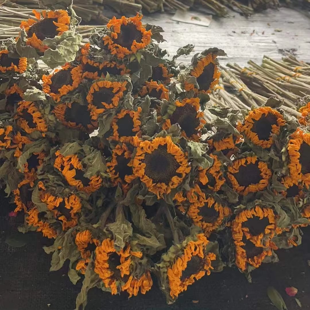 5pcs/bundle Natural Real Black Heart Sunflower Dried Flowers For home Decoration