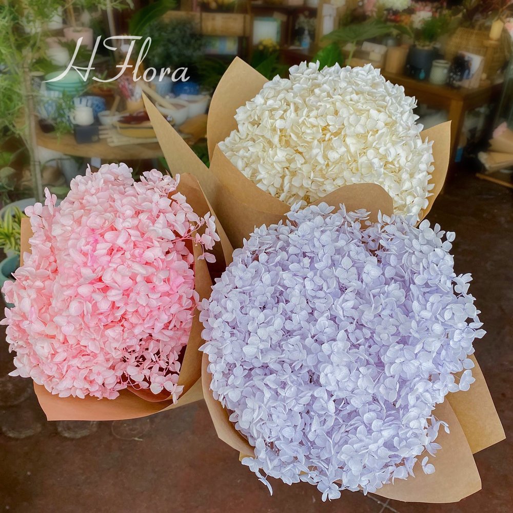 HFlora Popular Dried Forever Real Flower 20g 100g each Box Mother's Day Teacher's Day Graduation Gift Preserved Flower Hydrangea