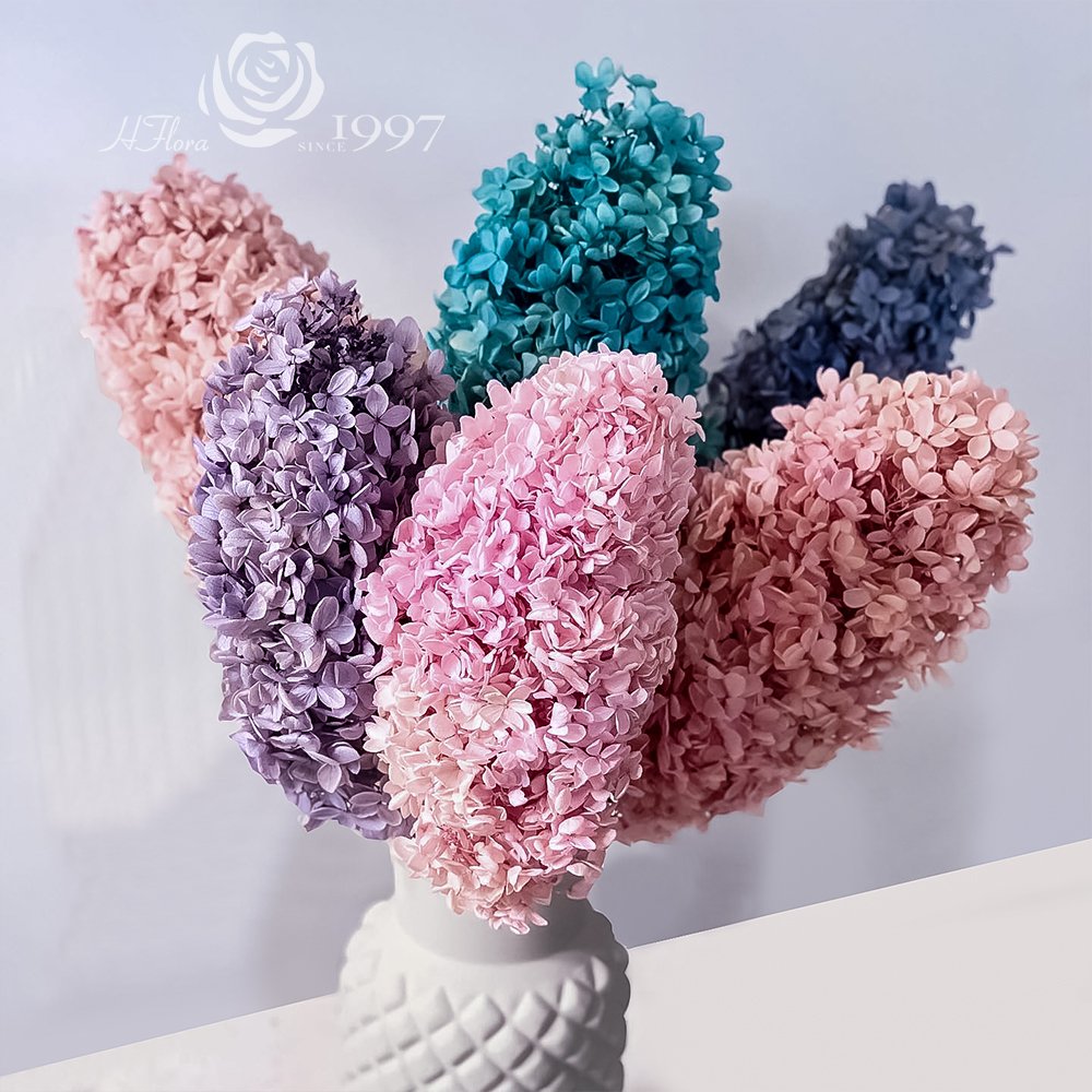 HFlora Popular Dried Forever Real Flower 20g 100g each Box Mother's Day Teacher's Day Graduation Gift Preserved Flower Hydrangea