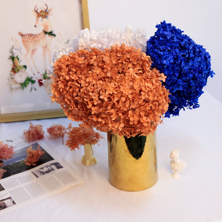 HFlora Popular Dried Forever Real Flower 20g 100g each Box Mother's Day Teacher's Day Graduation Gift Preserved Flower Hydrangea