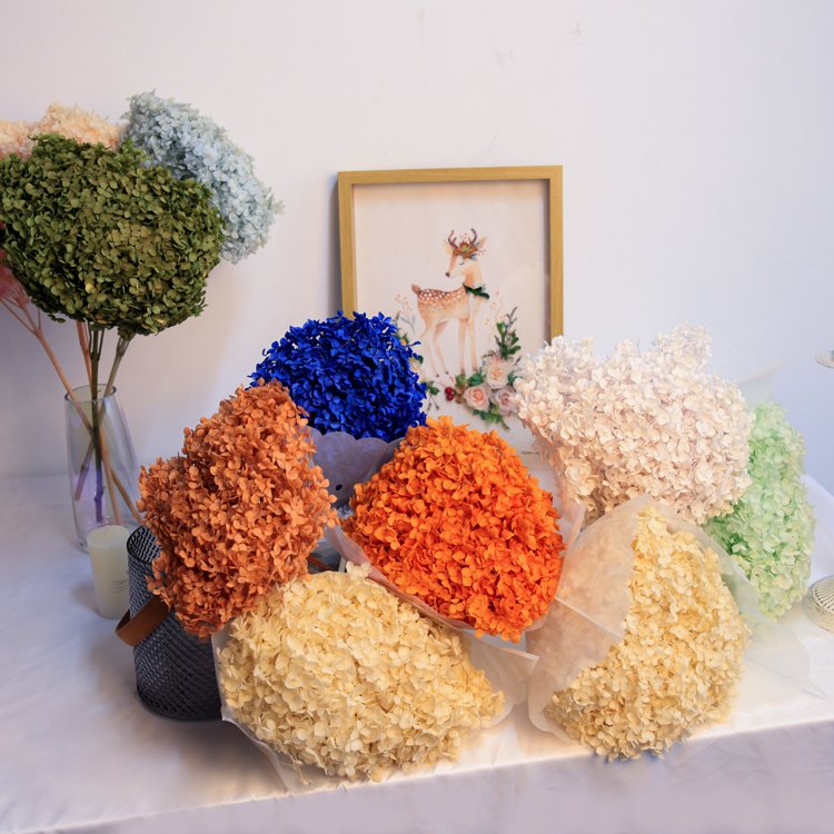 HFlora Popular Dried Forever Real Flower 20g 100g each Box Mother's Day Teacher's Day Graduation Gift Preserved Flower Hydrangea