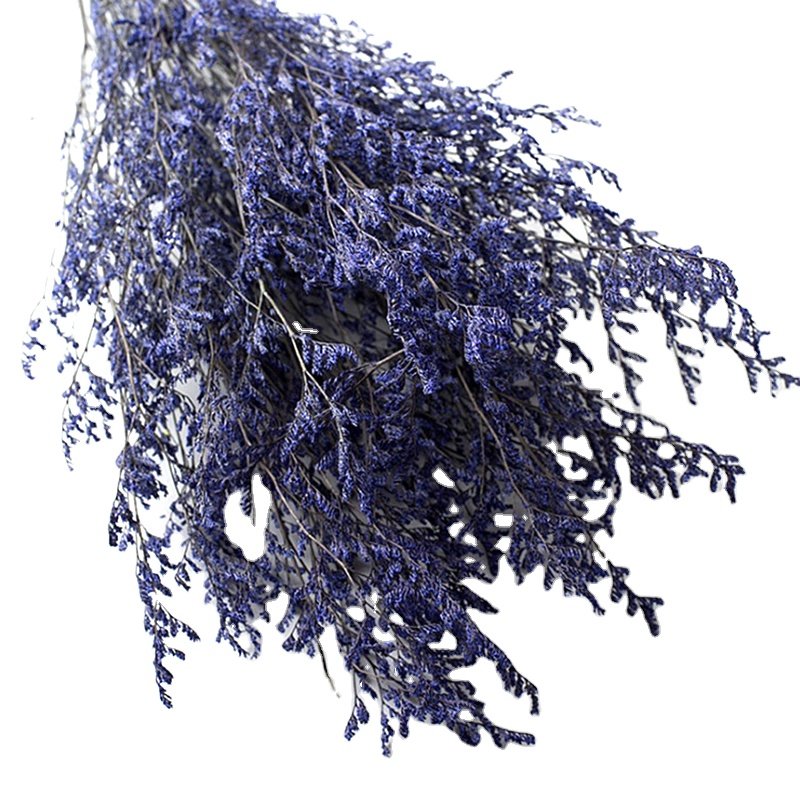 Factory Supply Preserved Limonium Real Natural Preserved Dried Flower Misty For Home Wedding Decoration