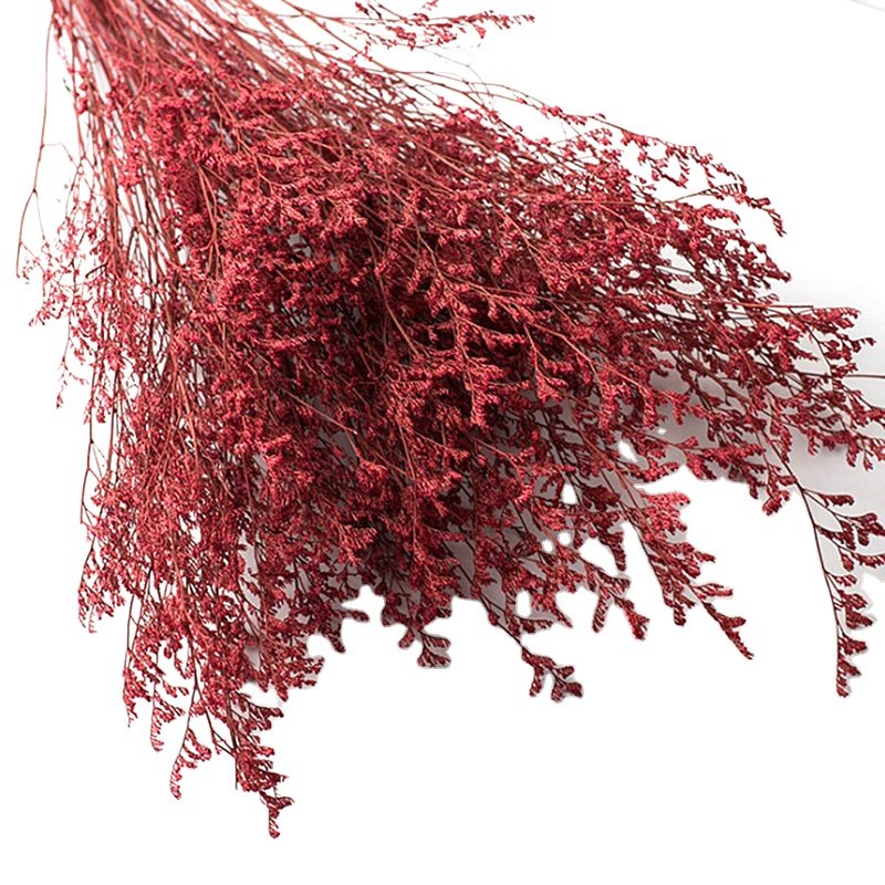 Factory Supply Preserved Limonium Real Natural Preserved Dried Flower Misty For Home Wedding Decoration