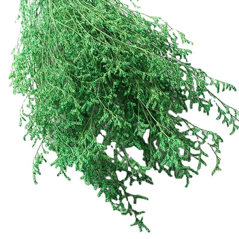 Factory Supply Preserved Limonium Real Natural Preserved Dried Flower Misty For Home Wedding Decoration