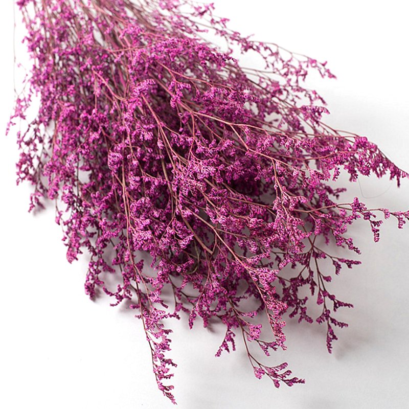 Factory Supply Preserved Limonium Real Natural Preserved Dried Flower Misty For Home Wedding Decoration