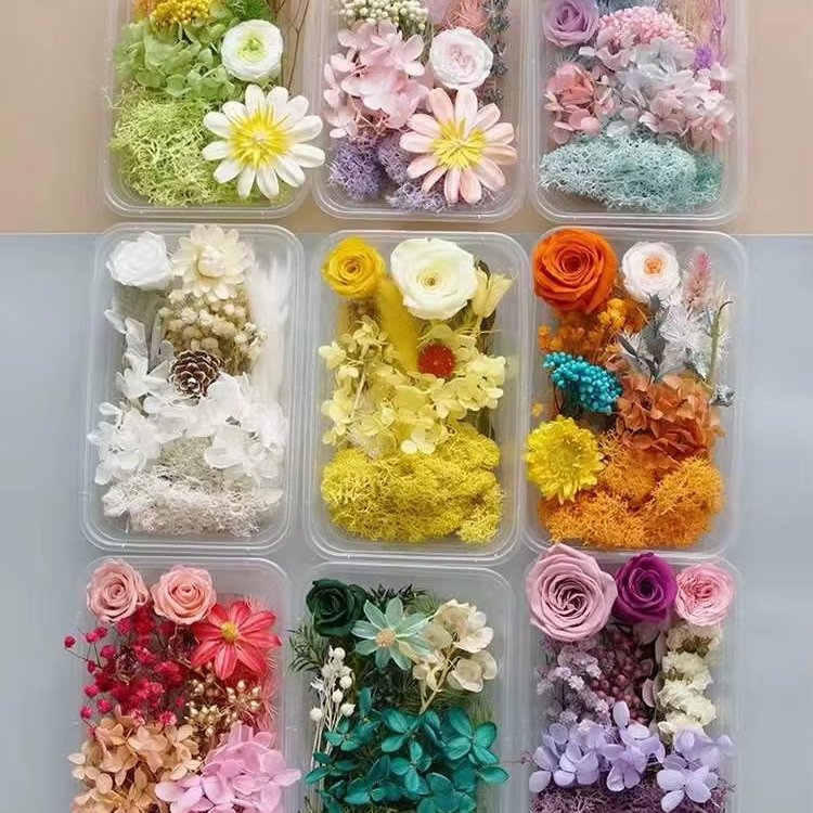 Dry Flowers In Plastic Boxed/Bags Preserved Stabilized Flower Wholesale For Candle Making Flower DIY Small Resin Materials Set