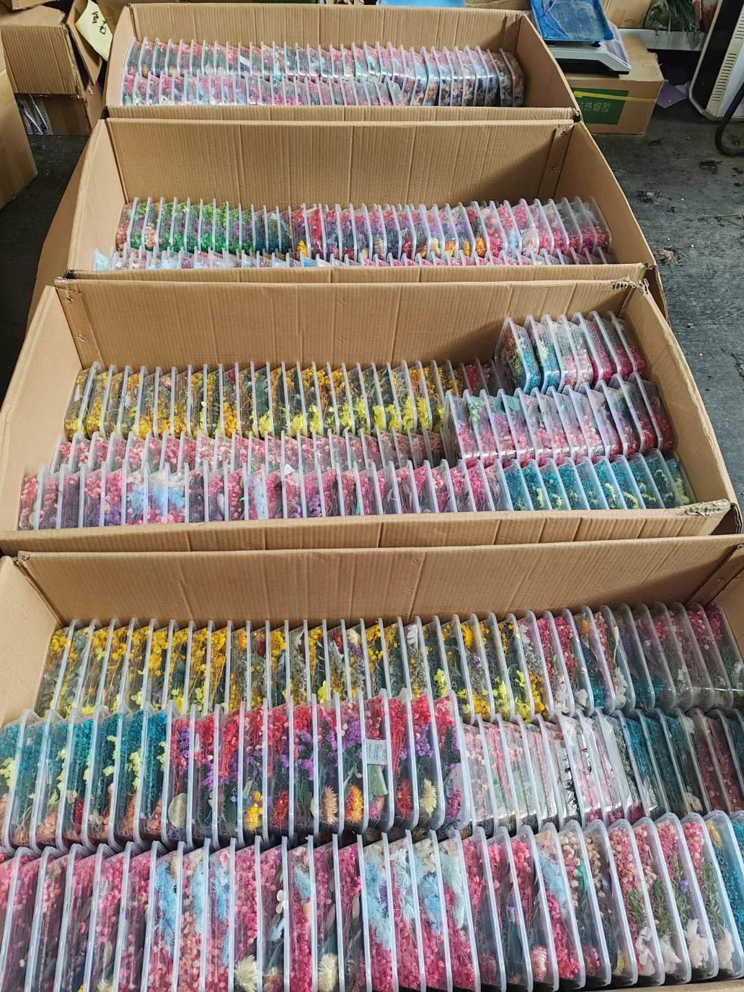 Dry Flowers In Plastic Boxed/Bags Preserved Stabilized Flower Wholesale For Candle Making Flower DIY Small Resin Materials Set
