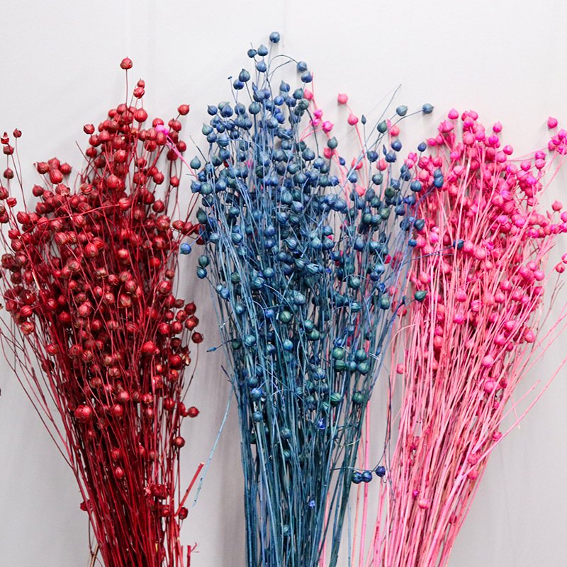 Factory Direct Sales Dried Flower Bouquet Jequirity Bean Acacia Beans Rich Bean For Home Wedding Decoration