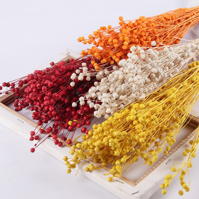 Factory Direct Sales Dried Flower Bouquet Jequirity Bean Acacia Beans Rich Bean For Home Wedding Decoration