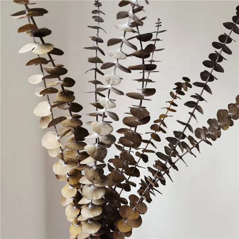 Guaranteed Quality Unique All Kinds Of Dried Flowers Natural Eucalyptus Leaves Bouquets For Home Decor