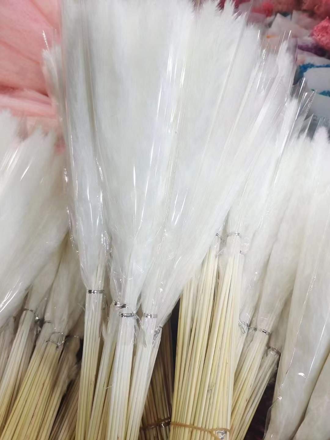 BOHO Natural Pampas Grass Small Reed Dried Flower Decoration for Wedding Decor