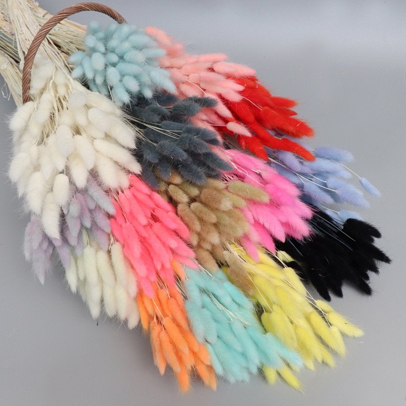 Wholesale Rabbit Tail Grass 60pcs/ pack Dried Flowers Bouquet Preserved Real bouquet flowers Flower Bunny Tail Grass