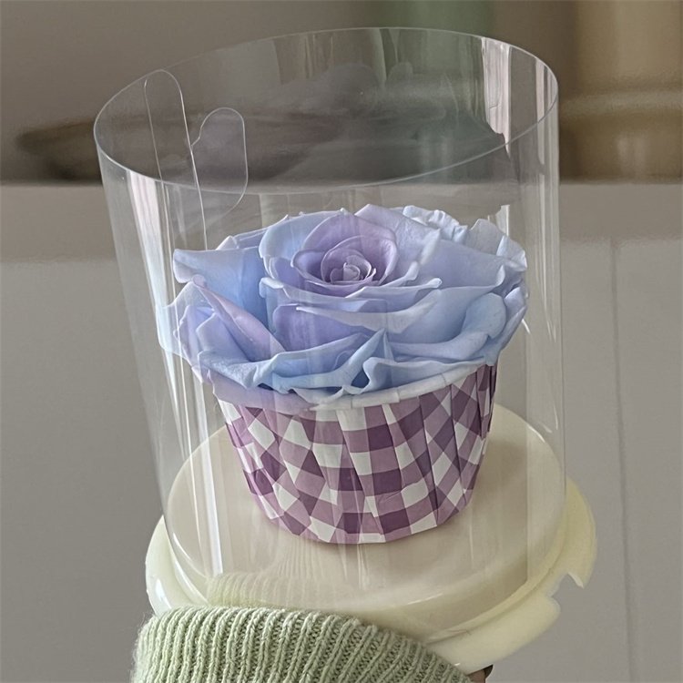 Large Single Bundle Korean Eternal Rose Cake Cup Design Roses Wholesale Beauty Forever Dried Eternal Preserved Flower