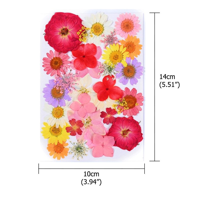 Wholesale DIY Natural Dried Pressed Flowers and Plants for Resin Decorations