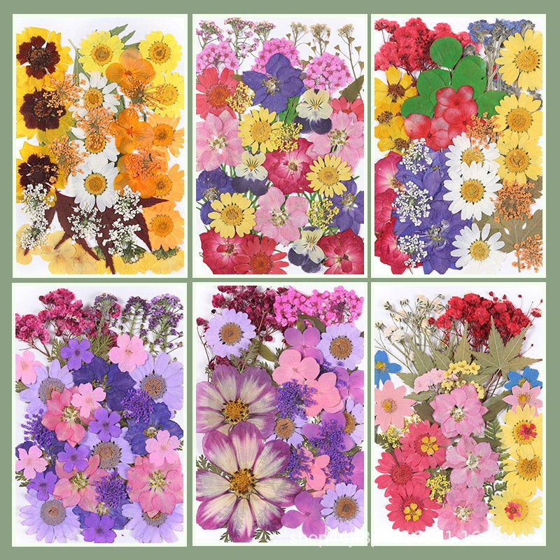 Wholesale DIY Natural Dried Pressed Flowers and Plants for Resin Decorations