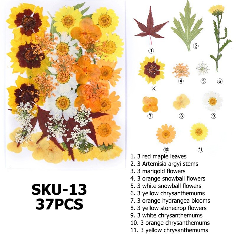 Wholesale DIY Natural Dried Pressed Flowers and Plants for Resin Decorations