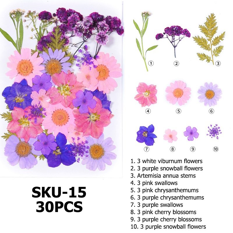 Wholesale DIY Natural Dried Pressed Flowers and Plants for Resin Decorations