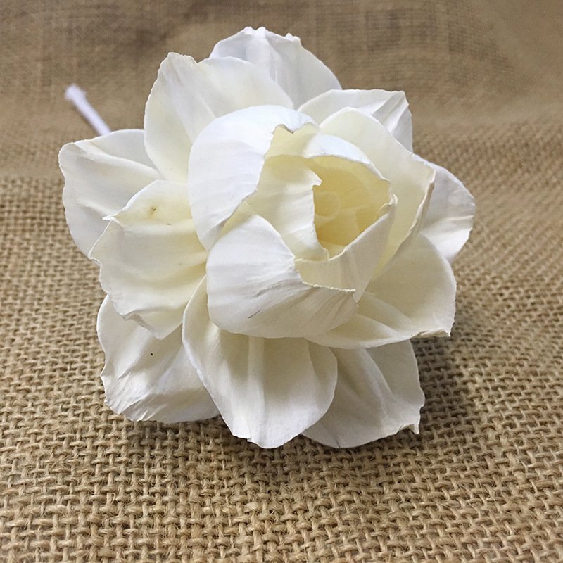 Factory Direct Sales Customizable Aromatherapy Dried Flower 8CM Interior Decoration Natural Diffuser Flower
