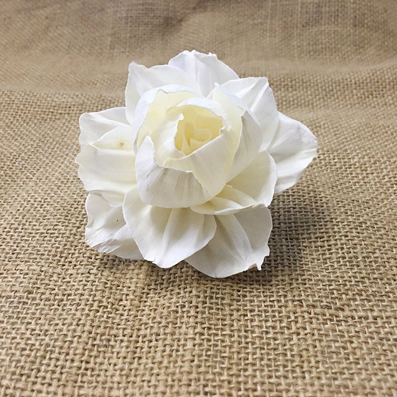Factory Direct Sales Customizable Aromatherapy Dried Flower 8CM Interior Decoration Natural Diffuser Flower