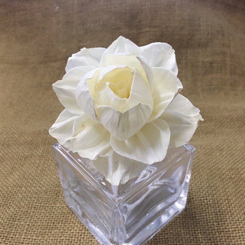 Factory Direct Sales Customizable Aromatherapy Dried Flower 8CM Interior Decoration Natural Diffuser Flower
