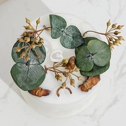 Vanilla