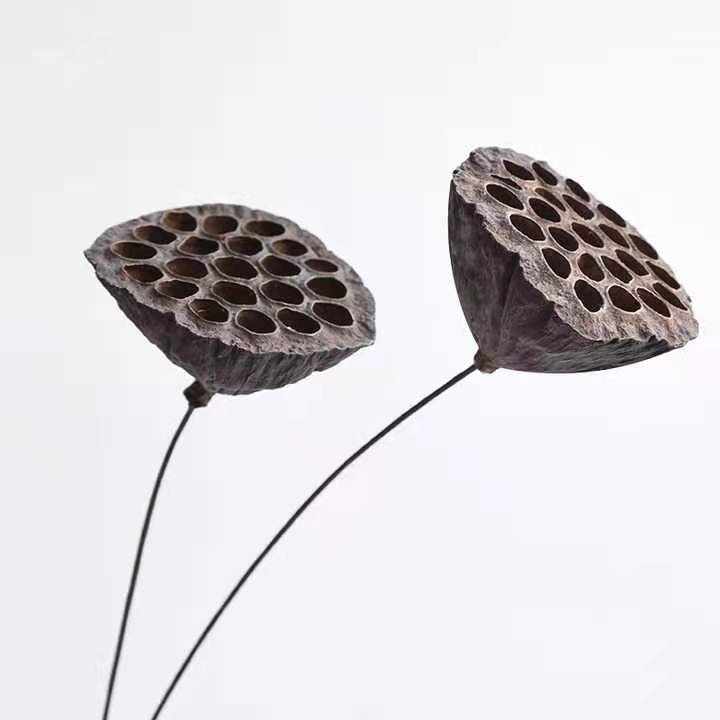 High Quality Factory Direct Price Natural Real Dried Flowers Lotus Fruit For Home Decor Lotus Flower