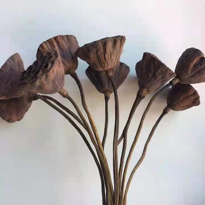 High Quality Factory Direct Price Natural Real Dried Flowers Lotus Fruit For Home Decor Lotus Flower