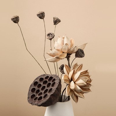 High Quality Factory Direct Price Natural Real Dried Flowers Lotus Fruit For Home Decor Lotus Flower