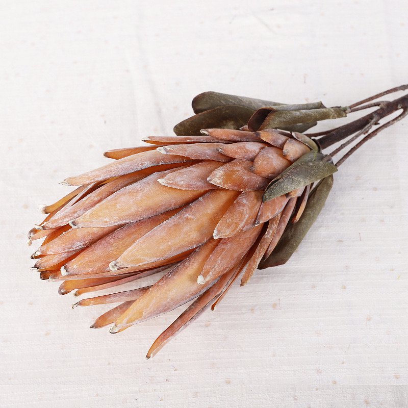 Artificial large king protea flower branch for home hotel decoration Artificial single head autumn silk fabric flower branch