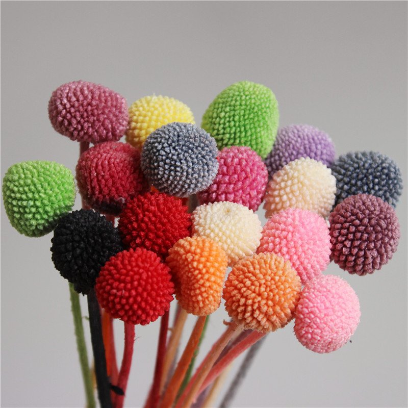 A-20 wholesale cheap natural Golden ball dry for candles arrangement resin Decorative flowers dried flower