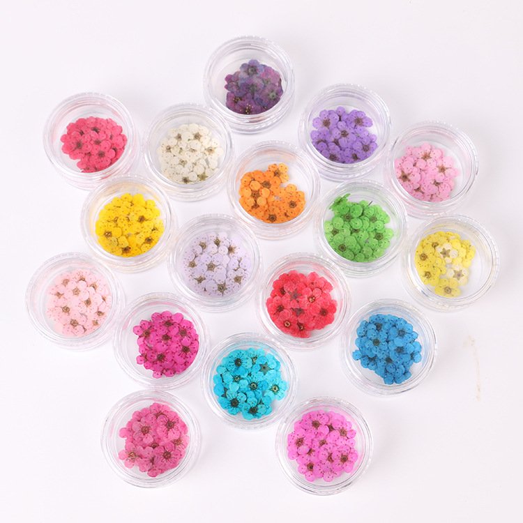 Hot Sale Colorful Little Plum Blossom Pressed Flower With Mini Aclyric Box Style 3D Mix Dry Dried Flowers For Nails Art