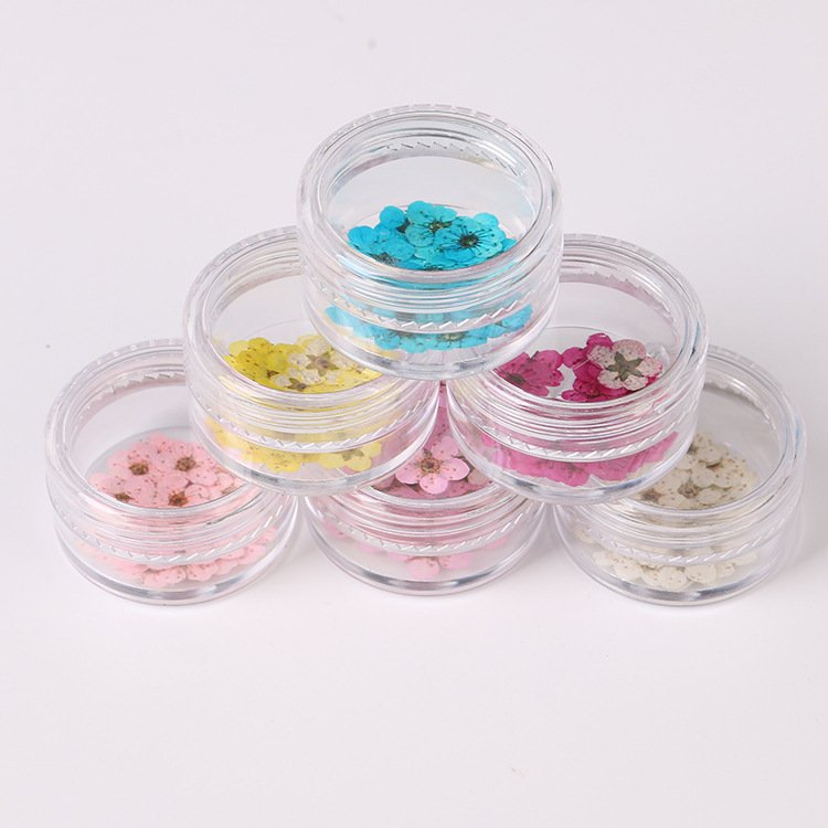 Hot Sale Colorful Little Plum Blossom Pressed Flower With Mini Aclyric Box Style 3D Mix Dry Dried Flowers For Nails Art