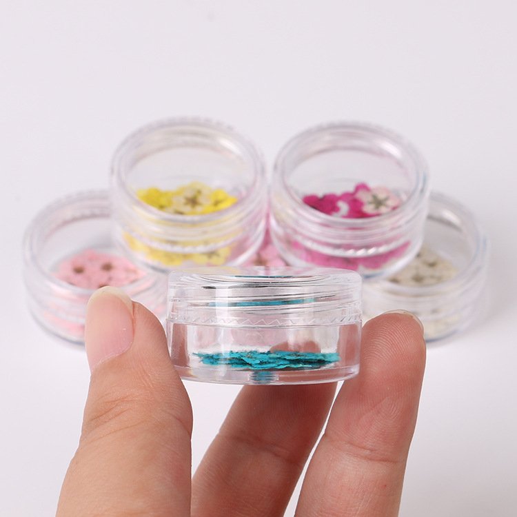 Hot Sale Colorful Little Plum Blossom Pressed Flower With Mini Aclyric Box Style 3D Mix Dry Dried Flowers For Nails Art