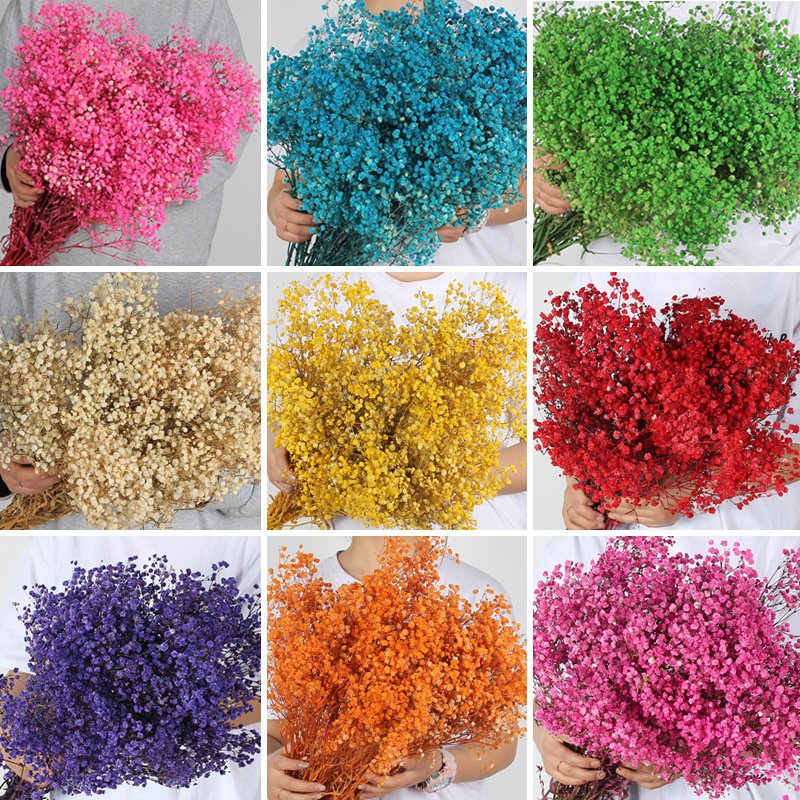 Wholesale preserved dried flower babybreath dried preserved flower gypsophila for Wedding Party Decoration