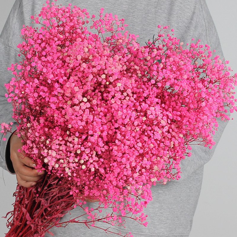 Wholesale preserved dried flower babybreath dried preserved flower gypsophila for Wedding Party Decoration