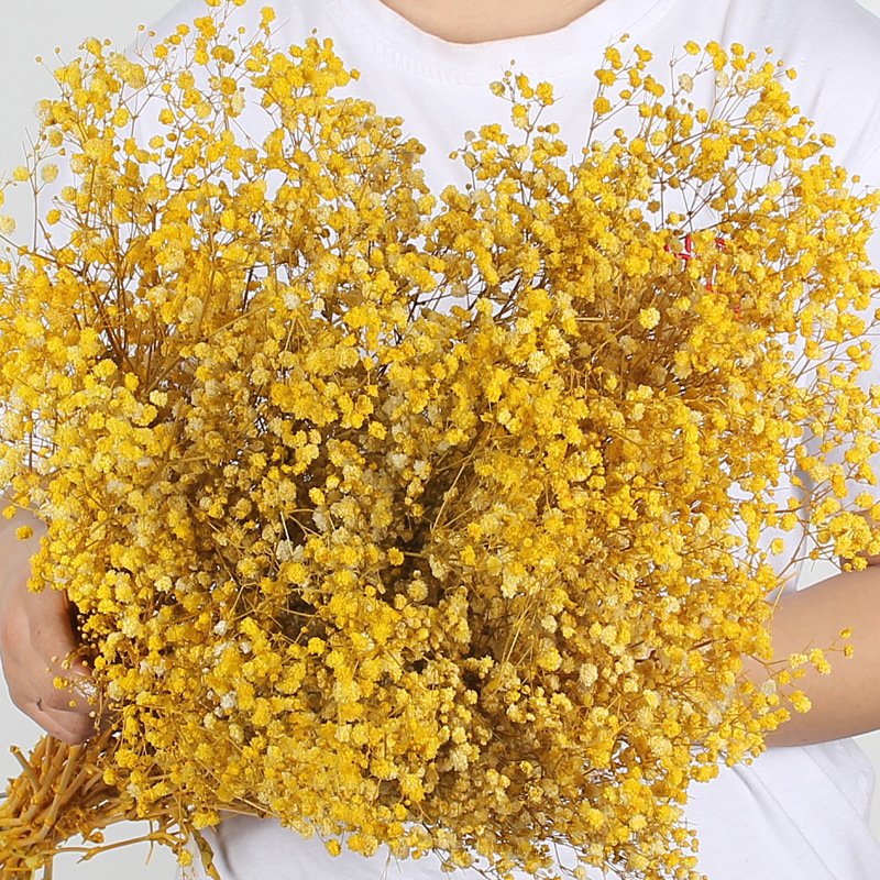 Wholesale preserved dried flower babybreath dried preserved flower gypsophila for Wedding Party Decoration