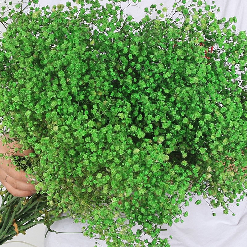 Wholesale preserved dried flower babybreath dried preserved flower gypsophila for Wedding Party Decoration