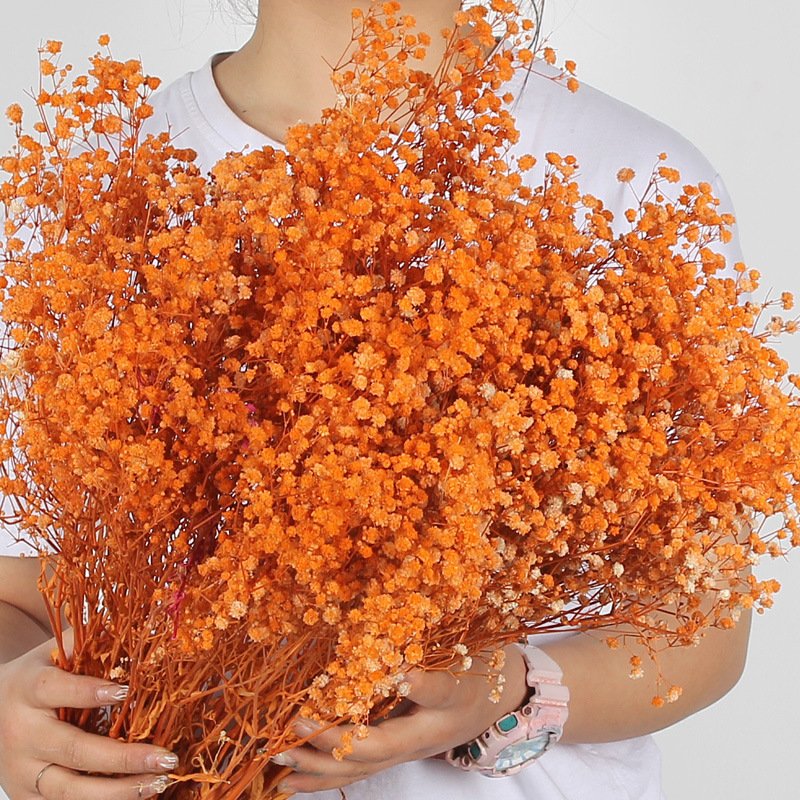 Wholesale preserved dried flower babybreath dried preserved flower gypsophila for Wedding Party Decoration