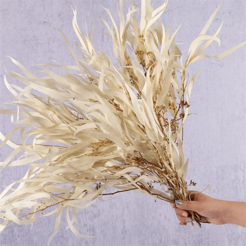 Wholesale Natural Preserved Bleached Seeded Eucalyptus Leaves Bundles Dried Real White Eucalyptus