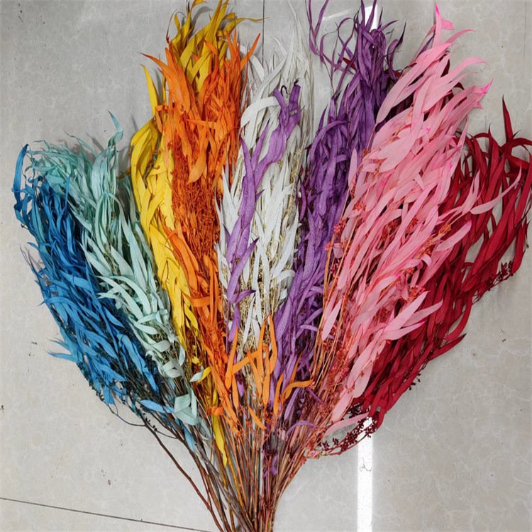 Wholesale Natural Preserved Bleached Seeded Eucalyptus Leaves Bundles Dried Real White Eucalyptus