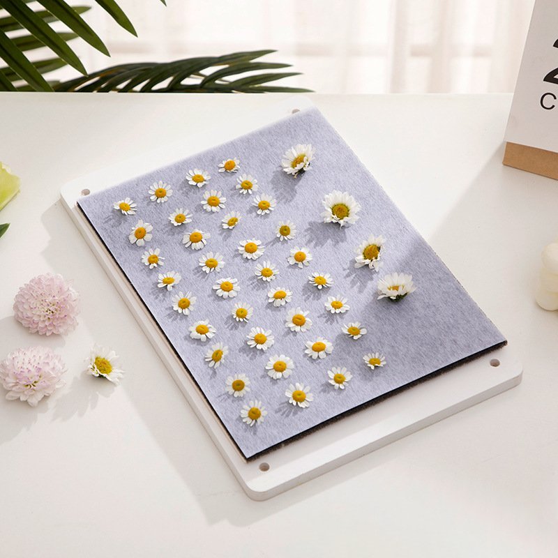 PUSELIFE Home Decoration DIY Handmade dry pressed dried real pressed dried flowers and leaves for resin